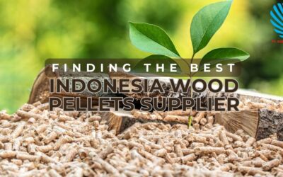 Finding the Best Indonesia Wood Pellets Supplier