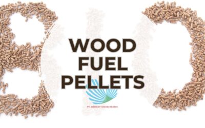 Premium Wood Fuel Pellets for Sustainable Heating at Home