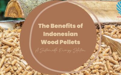 The Benefits of Indonesian Wood Pellets: A Sustainable Energy Solution